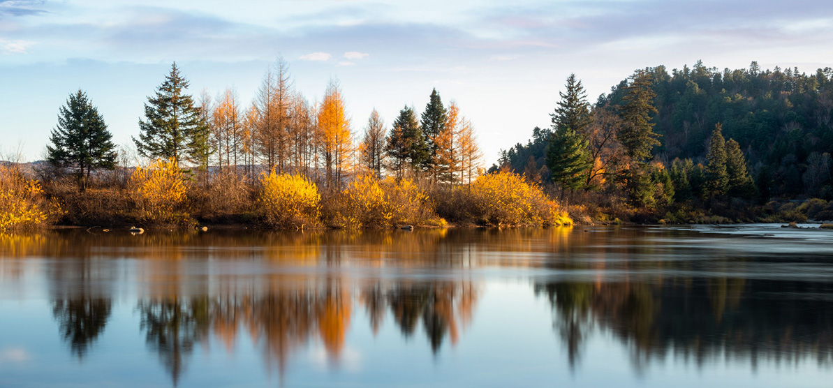 ˮ������̬����