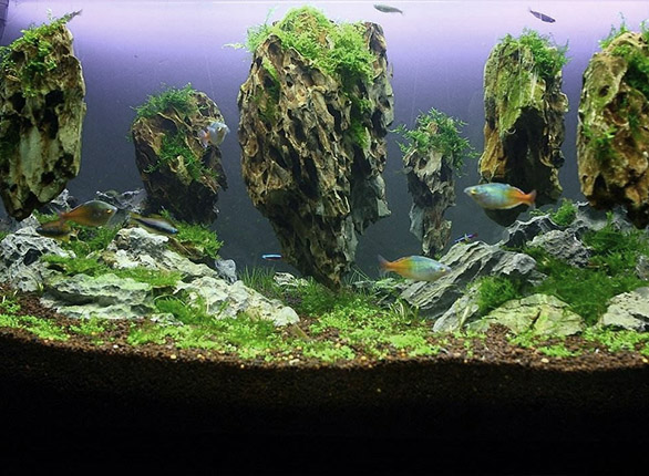 һ�廯MBR��ˮ���óͷ�װ��-97�������