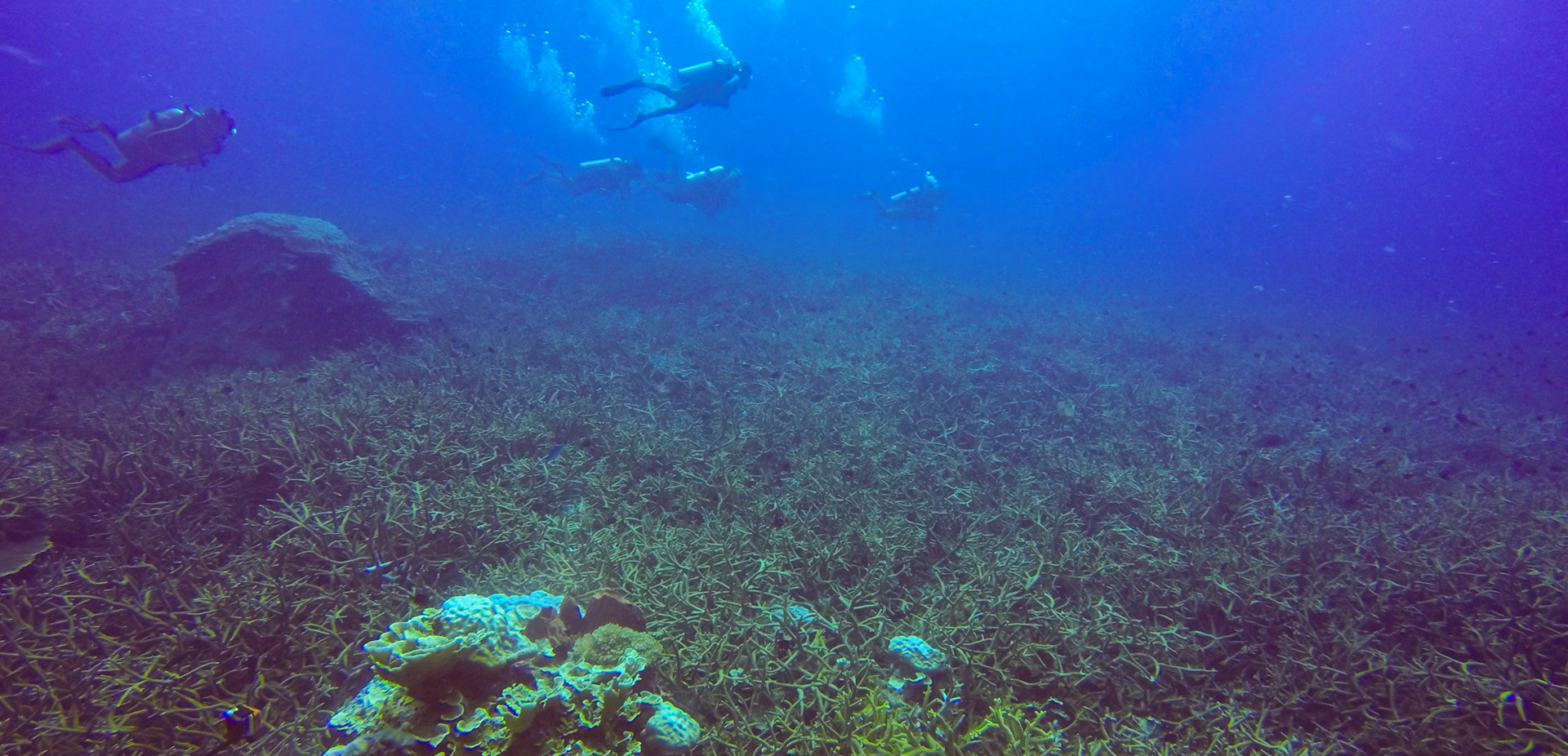 ˮ���óͷ�����Ҫ��ȫ�µ���̬����ƫ��