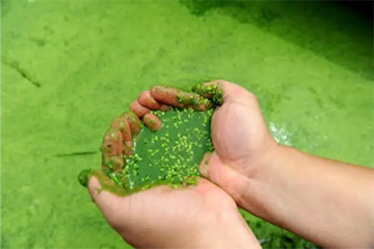 ���񻯷��+�˹�ʪ�ش��óͷ�ģʽ