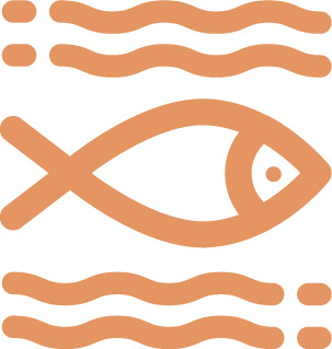 97����-����Ʒ��,Դ������