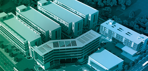 ��̬��������ŷŽ�������