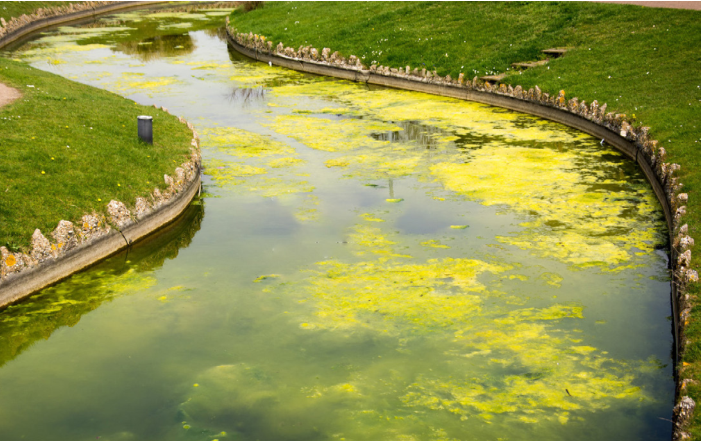 97����-����Ʒ��,Դ������