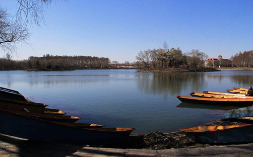 97����-����Ʒ��,Դ������