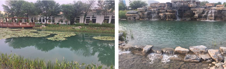 97����-����Ʒ��,Դ������