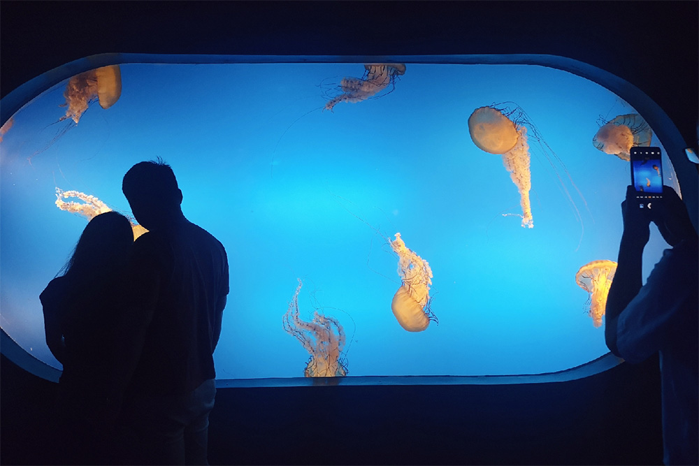 ����԰ˮ�ʴ��óͷ�