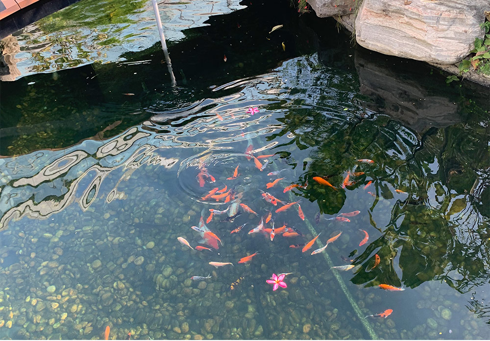 ���ˮ�ʴ��óͷ�