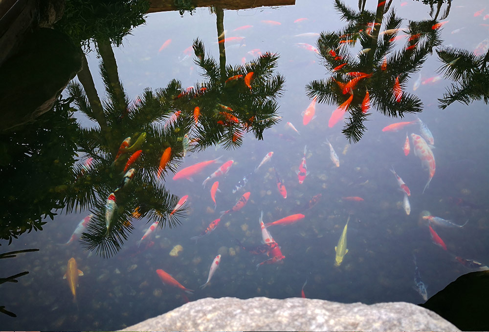 �������ˮ�ʴ��óͷ�