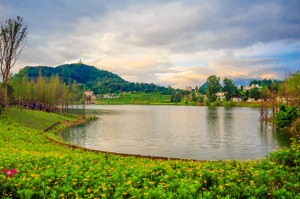 2/3 �˹�������