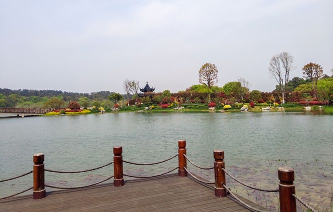 �����������������˹���