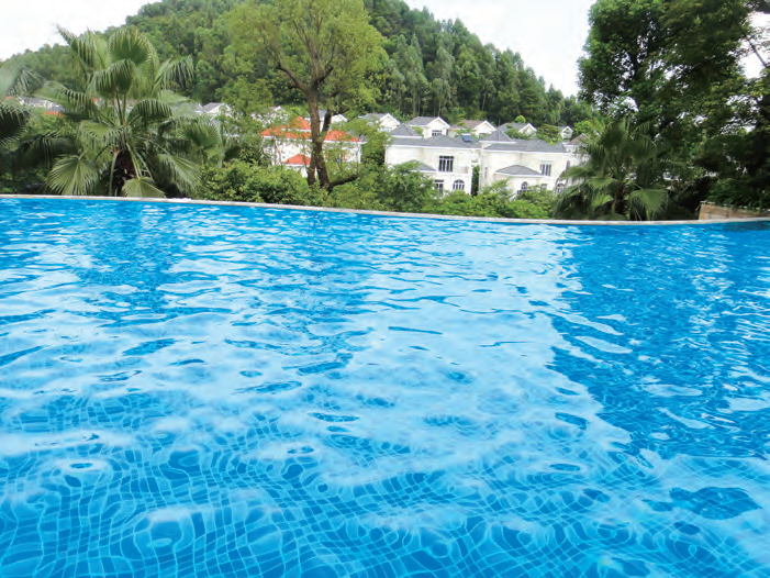 ��ݸ���������ù�Ӿ�������˴�שЧ������