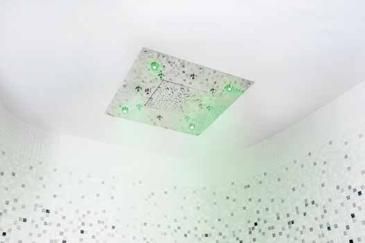 ����ʽ��ԡ��Ʒ��Ч����ģʽ