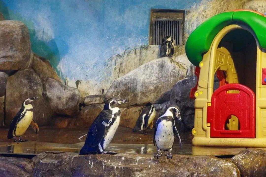 �����,�����ˮ�ʴ��óͷ�