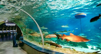 �����ˮ�ʴ��óͷ�