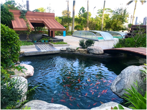 97����-����Ʒ��,Դ������