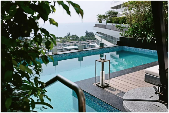 ������Ӿ�ؽ������