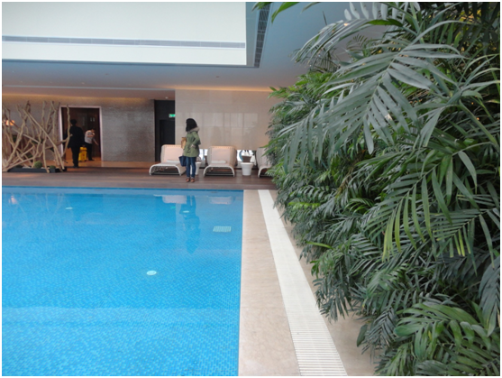 ������Ӿ��