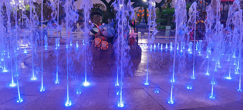 2/2 ������Ȫ