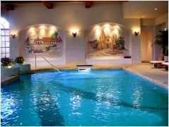 Ӿ��ˮ��Ʒ���ļҺ�����������������ѡ�ͣ���������������