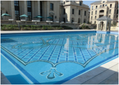 ����Ӿ�����ȶ�Ӿ��ˮ�ʵ���Ҫ�Լ������Σ����