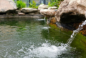 97����-����Ʒ��,Դ������