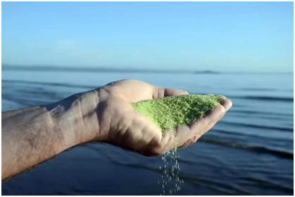 �ù���Ӿ��,�ù�Ӿ�ؽ���ƻ�,�ù�Ӿ��ˢ��