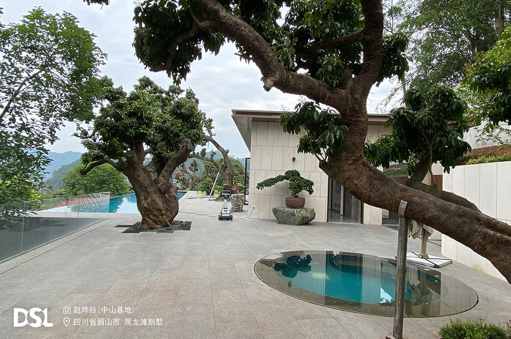 ����Ӿ��