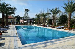 <b>��������Ӿ��ˮ���óͷ�ҩ�����༰����</b>