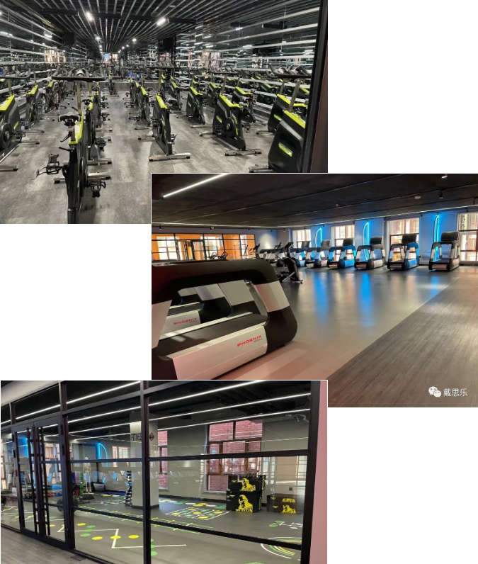 ������Ӿ��