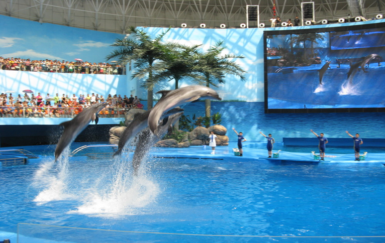 97����-����Ʒ��,Դ������