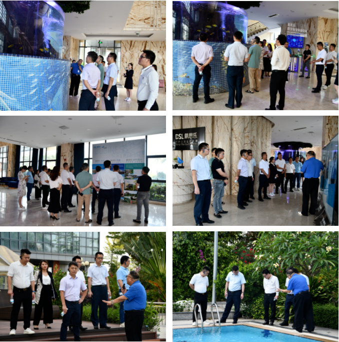 97����-����Ʒ��,Դ������