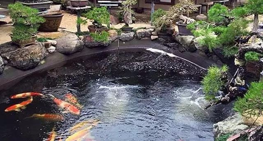 ������������������