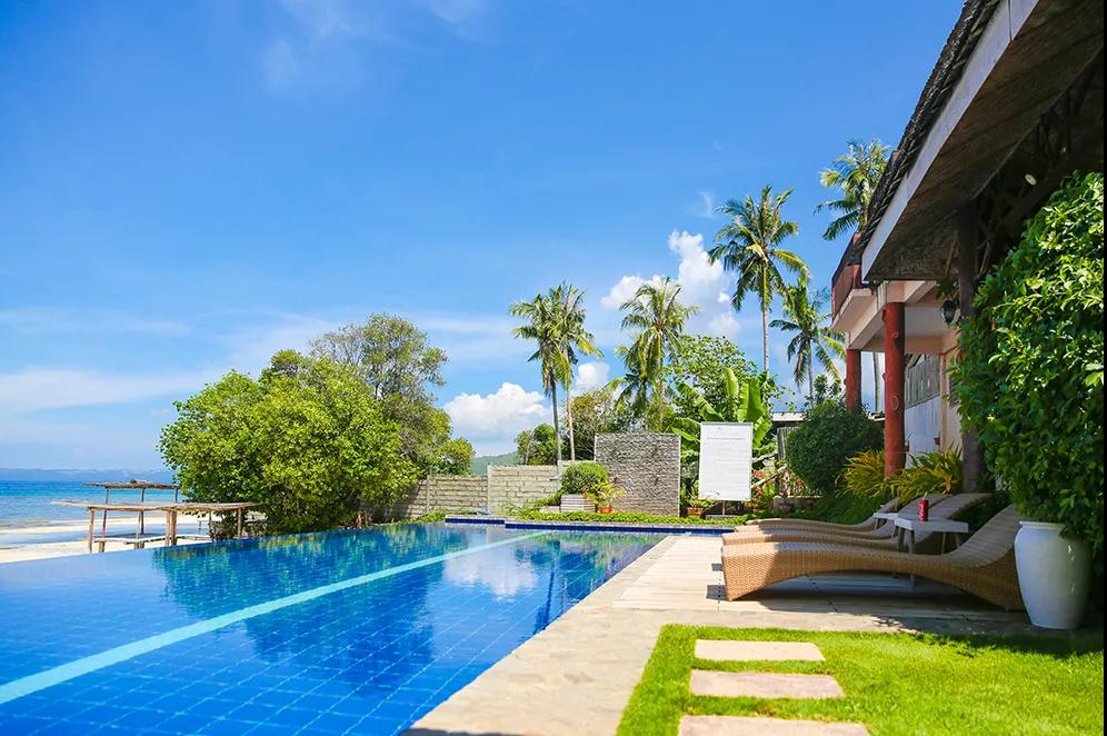 ������Ӿ�����