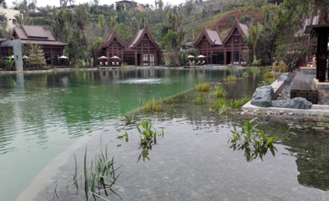 �˹�������,��̬�˹�������