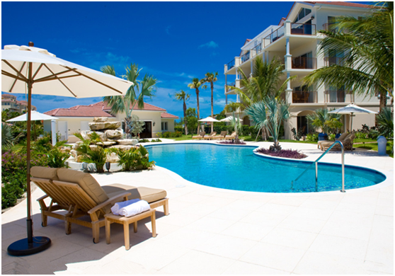 ������Ӿ���������