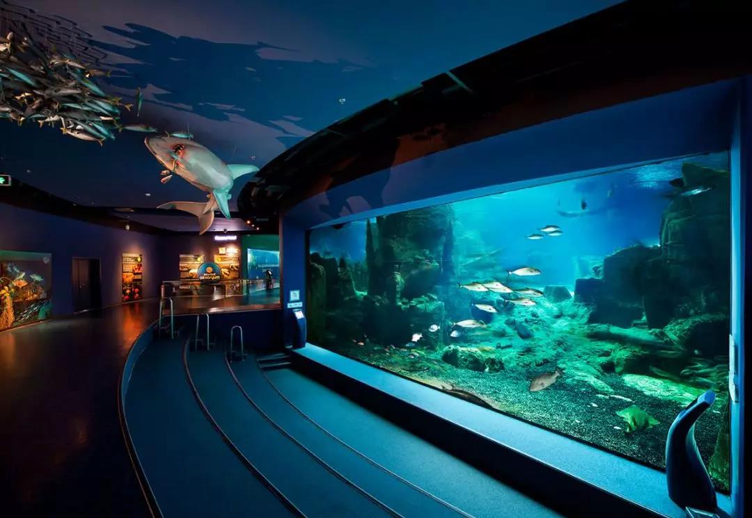 ����ݿ�������