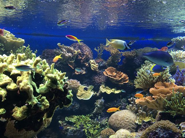 �����ˮ���óͷ�,�����ˮ���óͷ�����