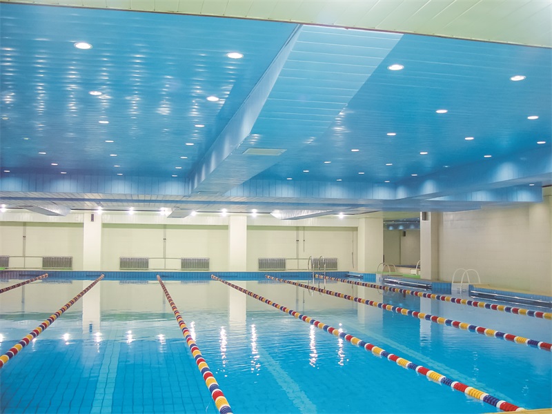 �߶���Ӿ����������ˢ��?