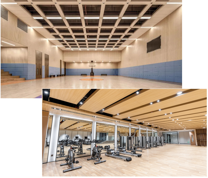 97����-����Ʒ��,Դ������