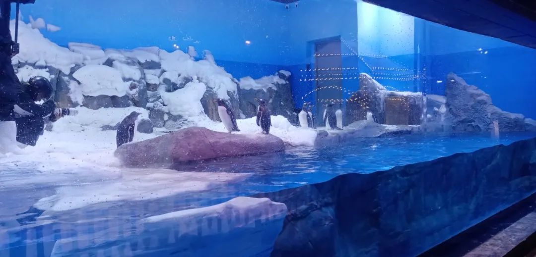 97����-����Ʒ��,Դ������