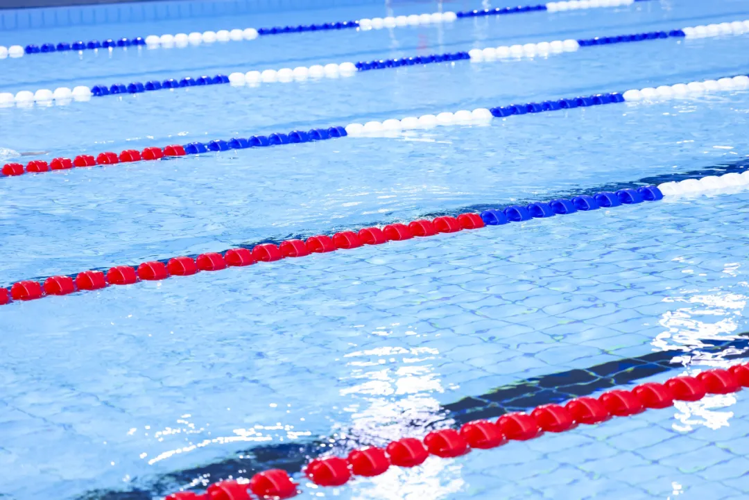 97����-����Ʒ��,Դ������