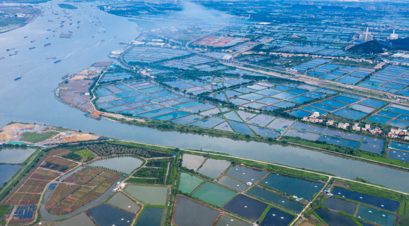 ������ɫ����������������ʵ��βˮ��������̬��Ӯ��������������