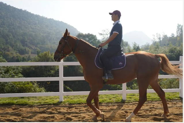 97����-����Ʒ��,Դ������