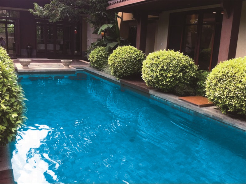 97����-����Ʒ��,Դ������