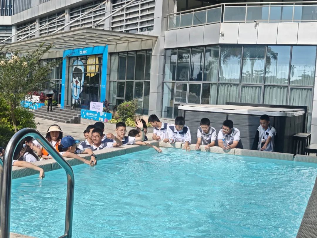 97������ʼ���,97�������