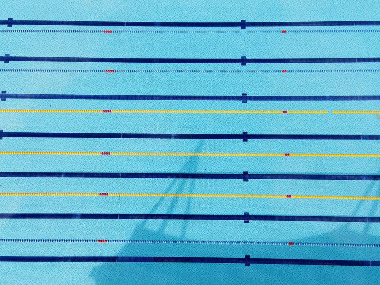 <b>Ӿ��ˮ���óͷ�ҩ�����̣��������������������̻��������ˣ�</b>