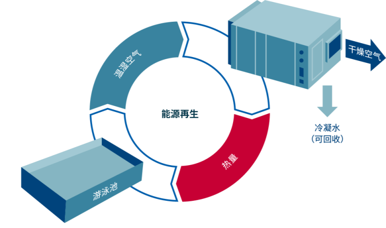 97����-����Ʒ��,Դ������