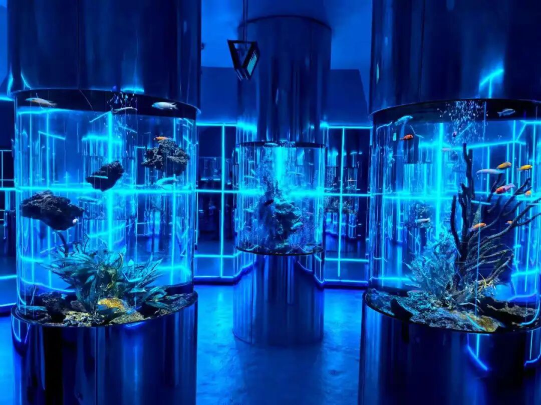 97����-����Ʒ��,Դ������