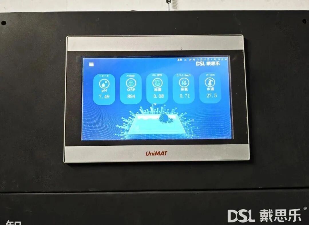 97����-����Ʒ��,Դ������